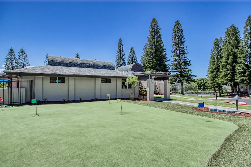 Greens At Waikoloa L101