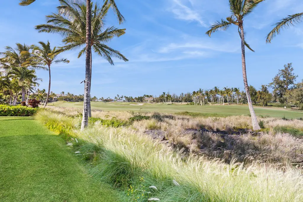 Waikoloa Beach Villas N23