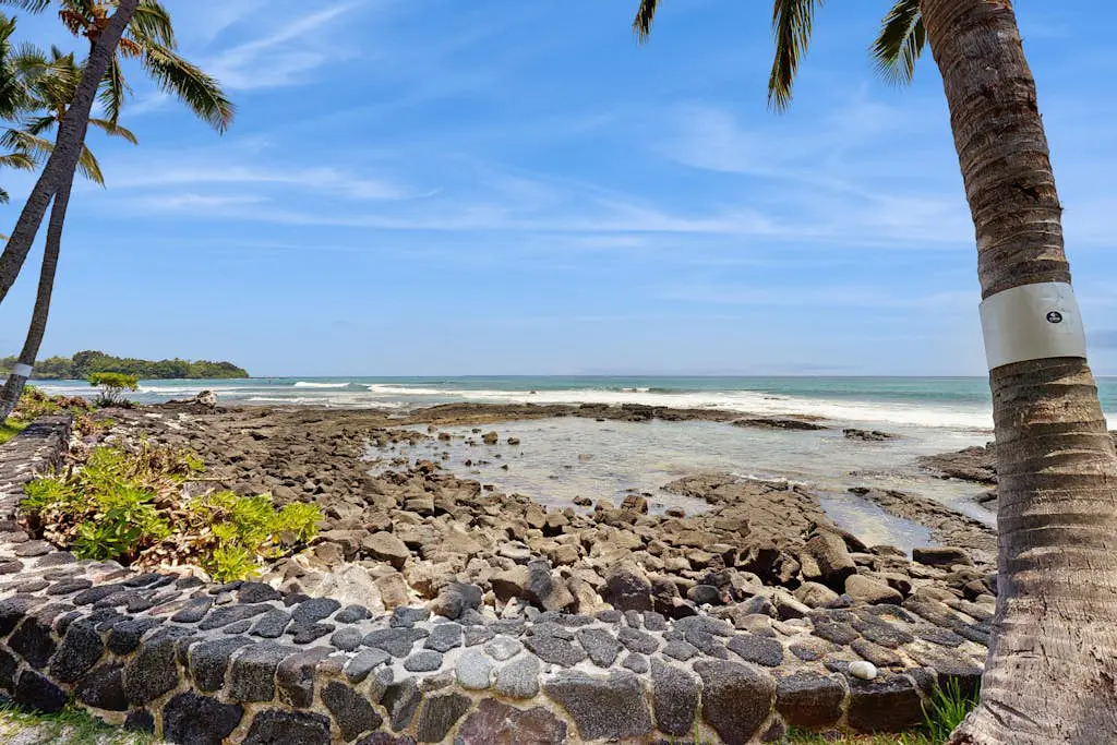 Kona Bali Kai #214