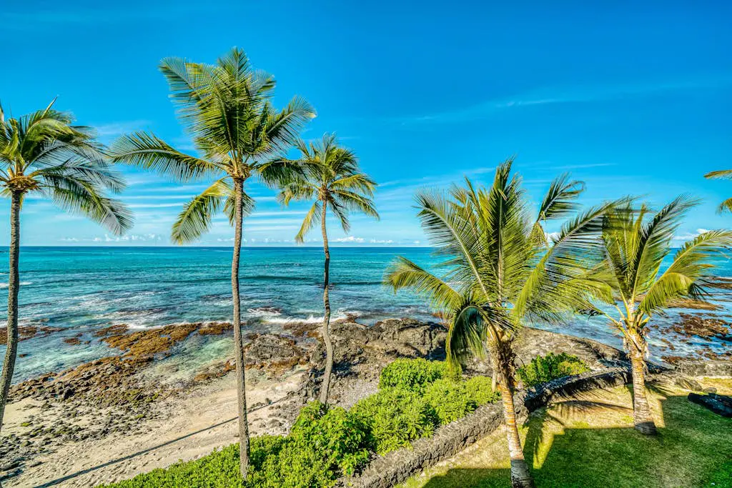 Kona Bali Kai #214