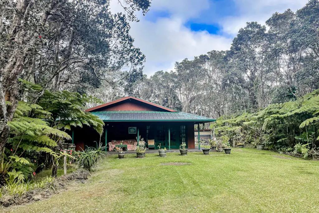 Anthurium Cottage