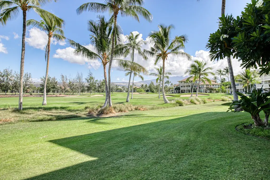 Waikoloa Fairway Villas N-5