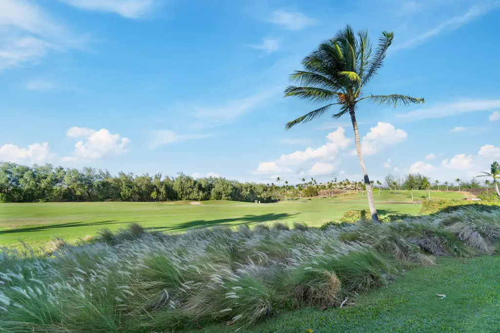 Waikoloa Fairway Villas N-5