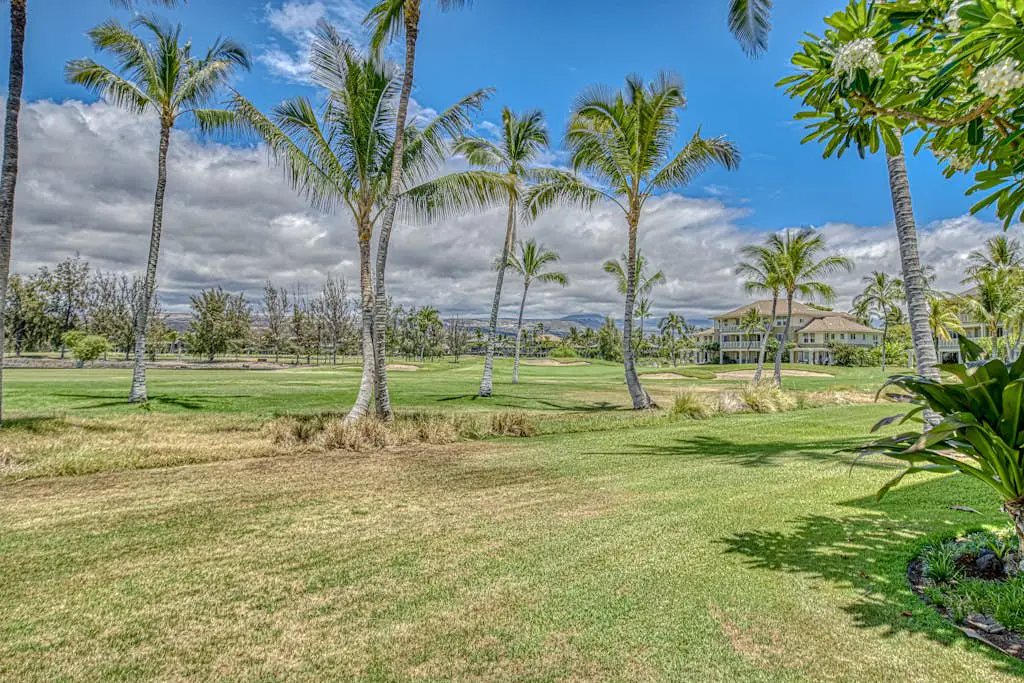 Waikoloa Fairway Villas N-5