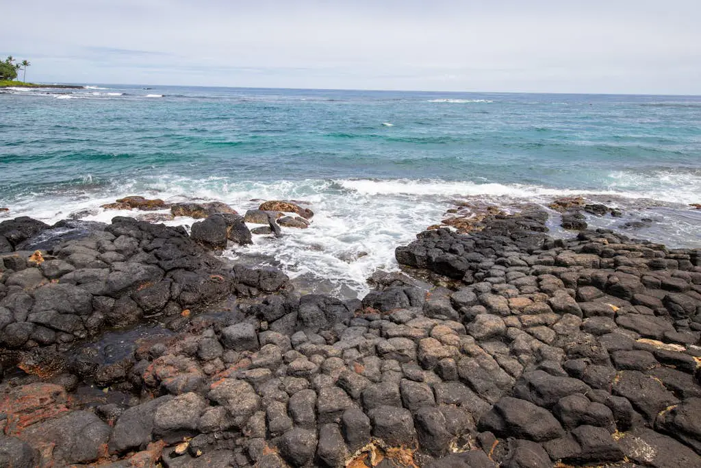 Kuhio Shores 107