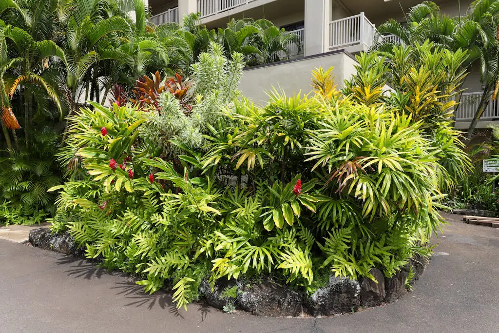 Kuhio Shores 107