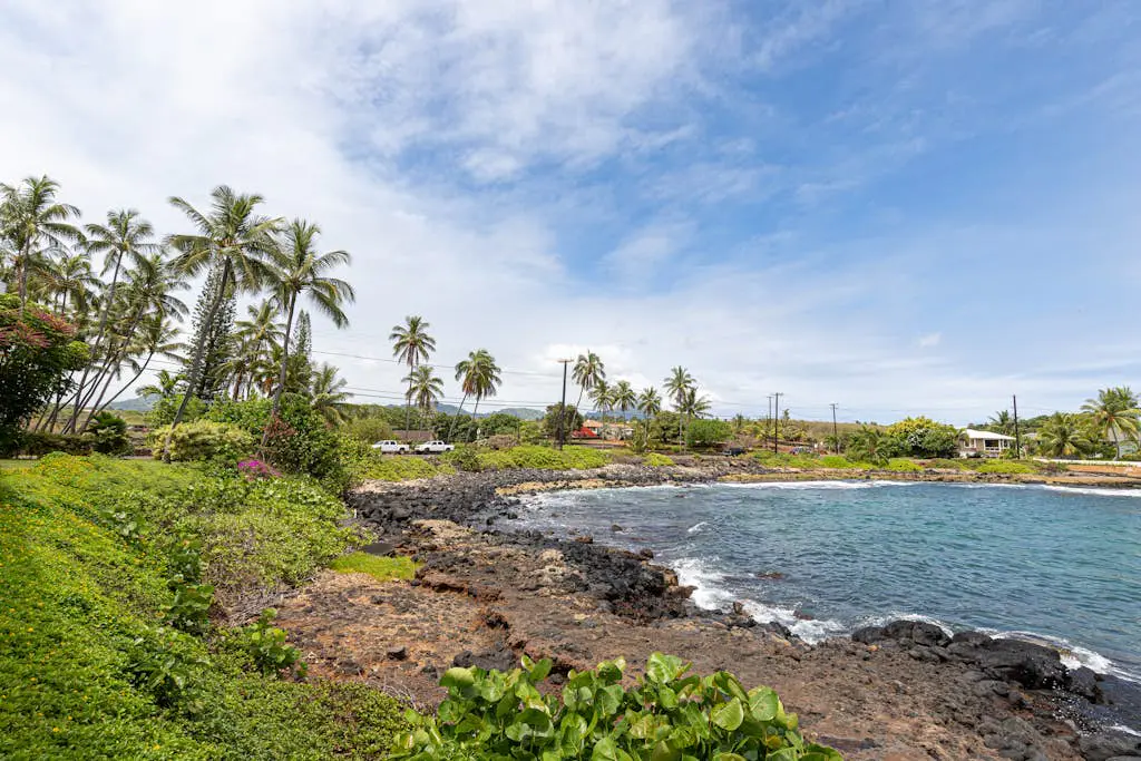Kuhio Shores 107