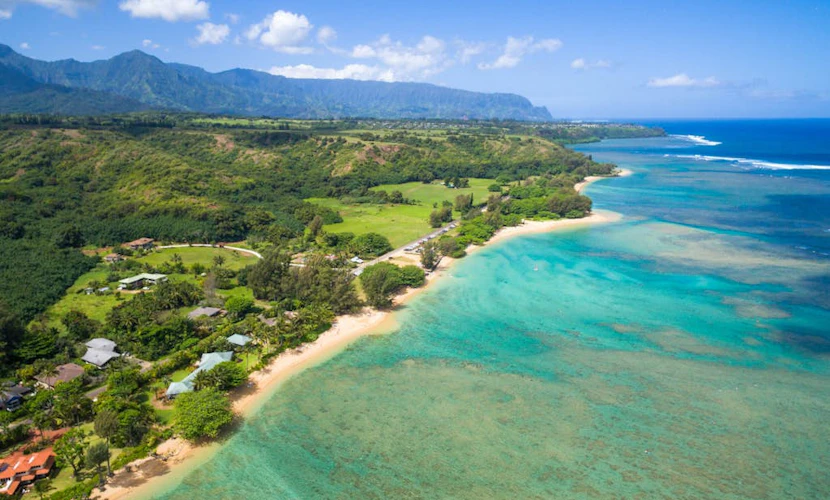 Charming cottage, nearby access to Anini beach - 85 steps away