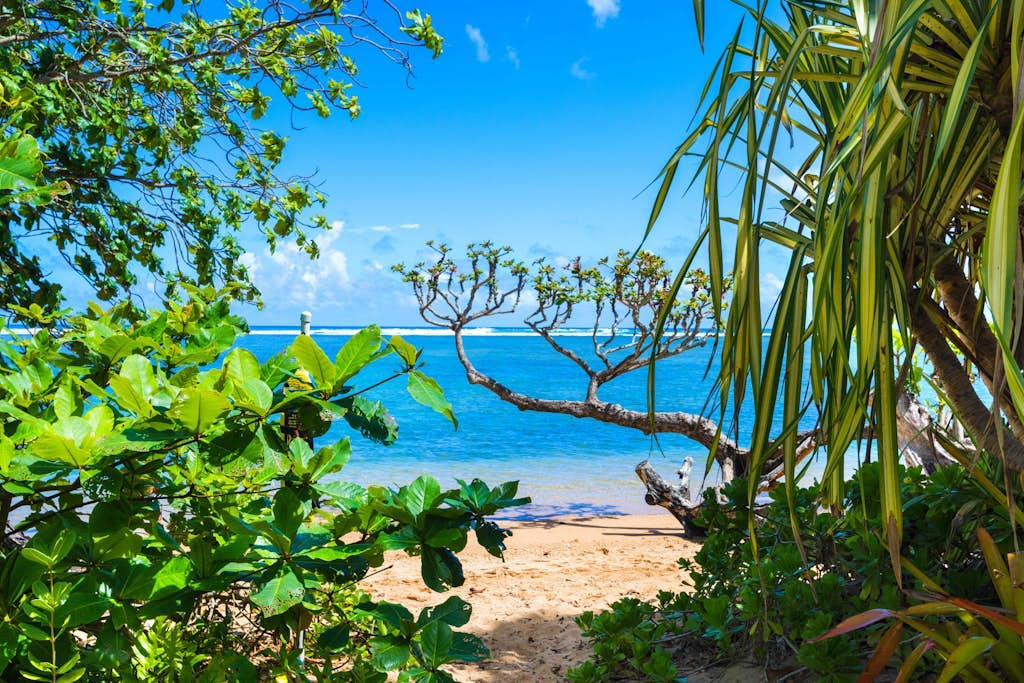 Charming cottage, nearby access to Anini beach - 85 steps away