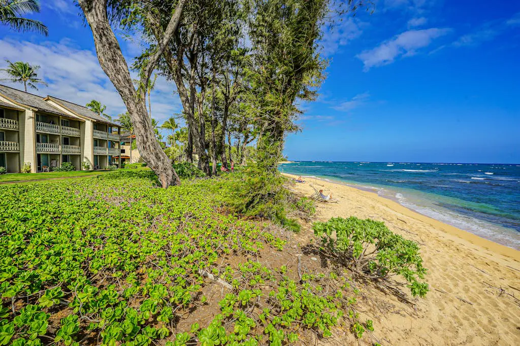 Islander on the Beach 155