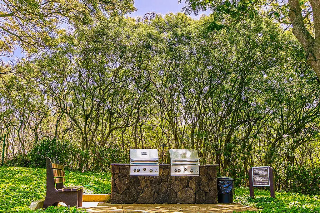 Kiahuna Plantation 420 -BLDG 41