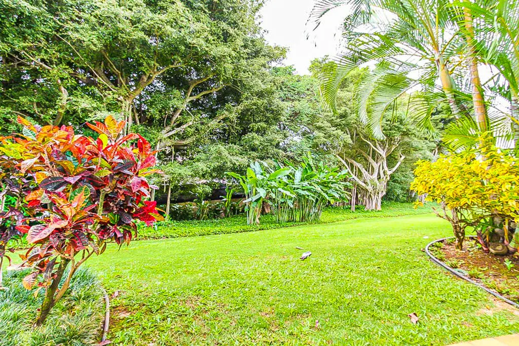 Kiahuna Plantation 420 -BLDG 41