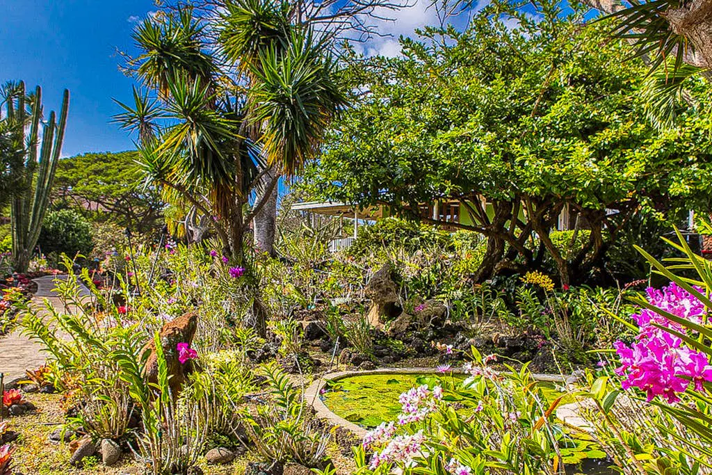 Kiahuna Plantation 420 -BLDG 41