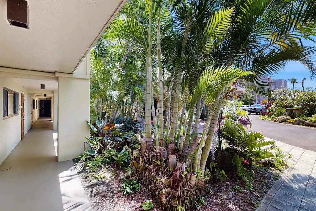Kuhio Shores 207