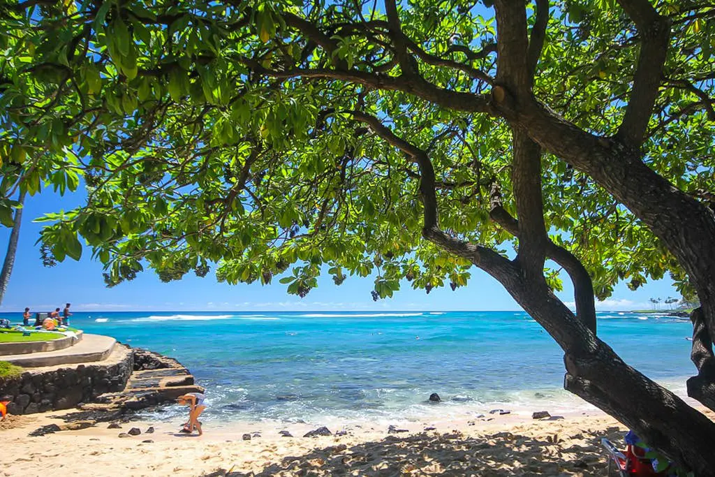 Kuhio Shores 207