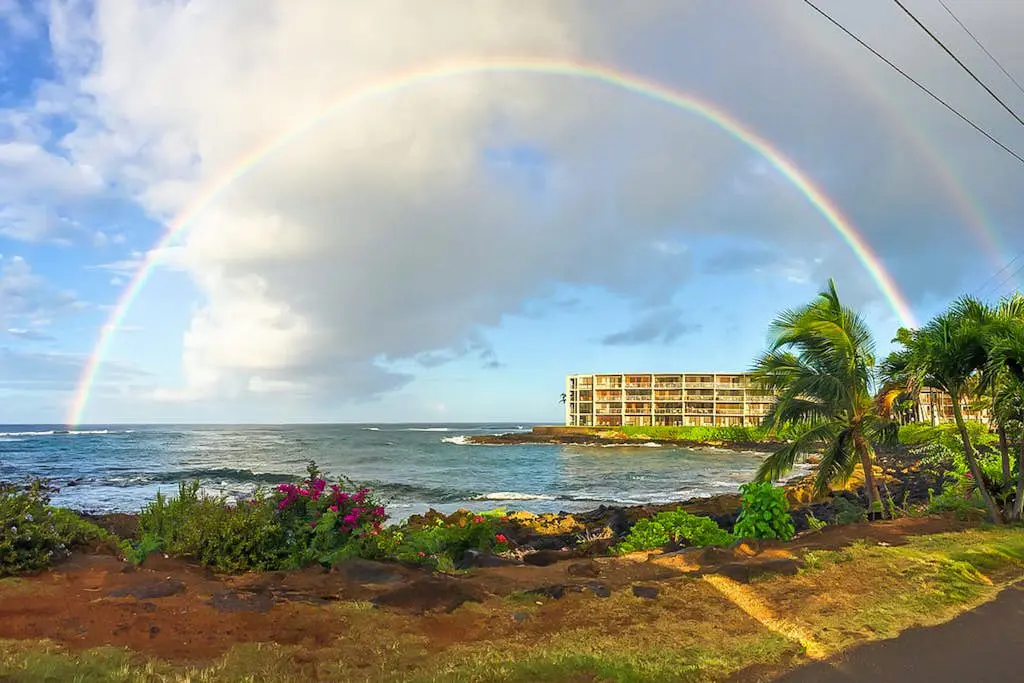 Kuhio Shores 207