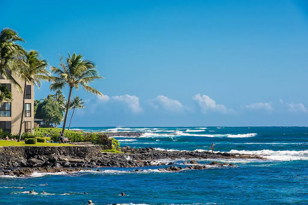 Kuhio Shores 207