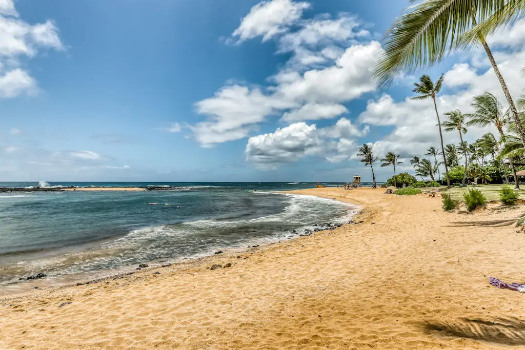 Manualoha 302
