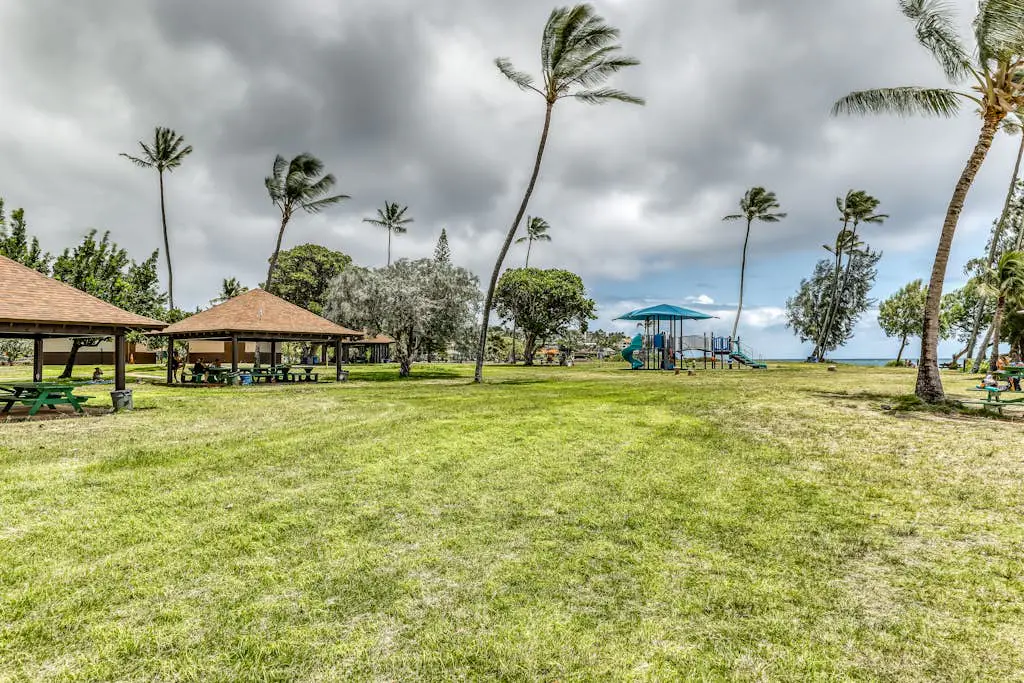 Manualoha 302