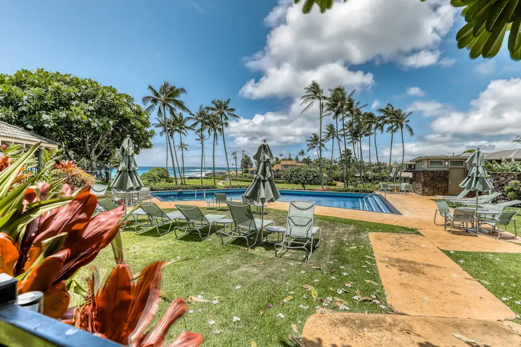 Manualoha 302