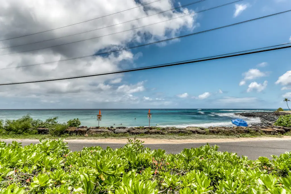 Manualoha 302