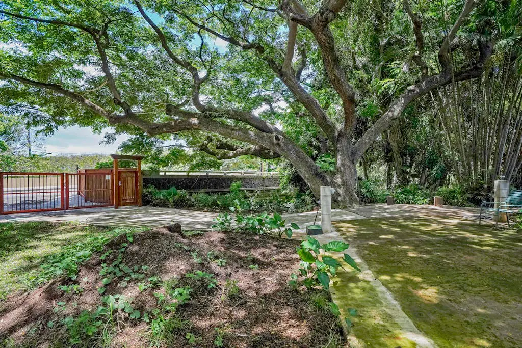 Waikomo Stream Villas 202