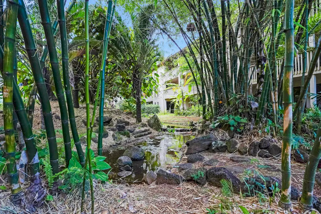 Waikomo Stream Villas 202