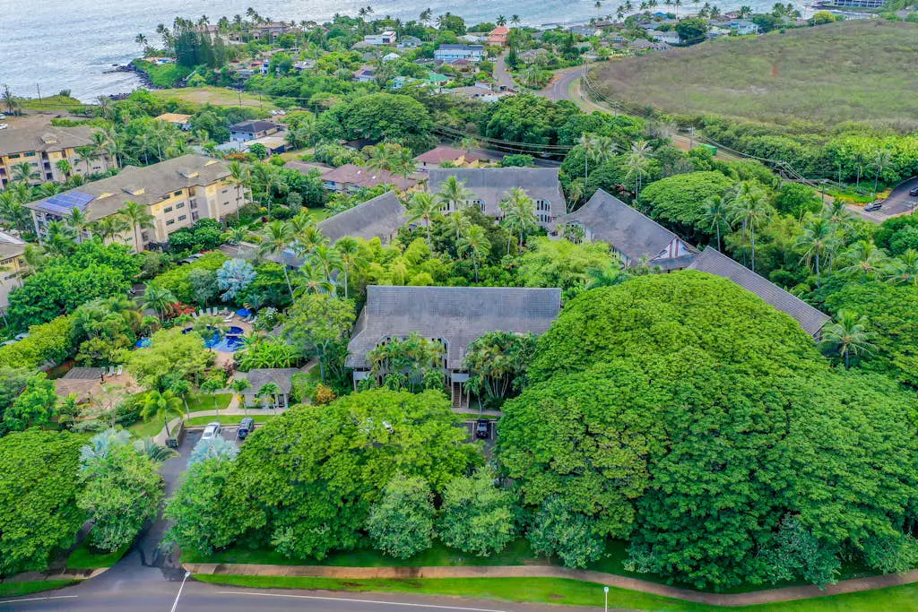 Waikomo Stream Villas 202