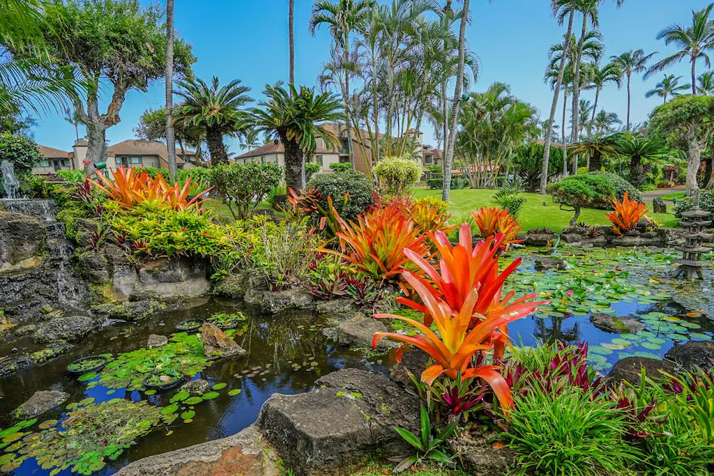 Pono Kai Resort J101