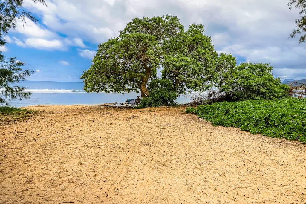 Islander on the Beach 172