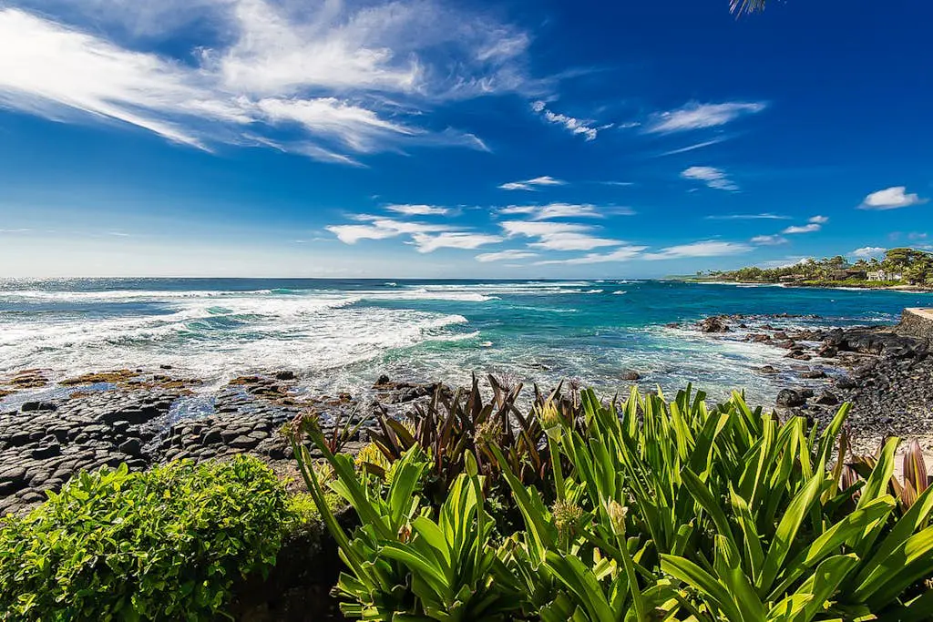 Kuhio Shores 201