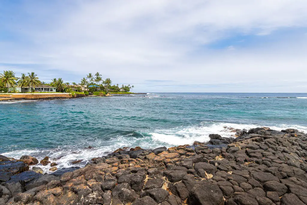 Kuhio Shores 201