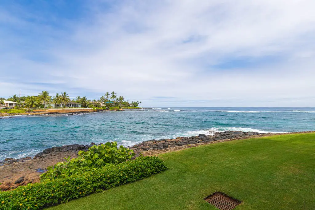 Kuhio Shores 201