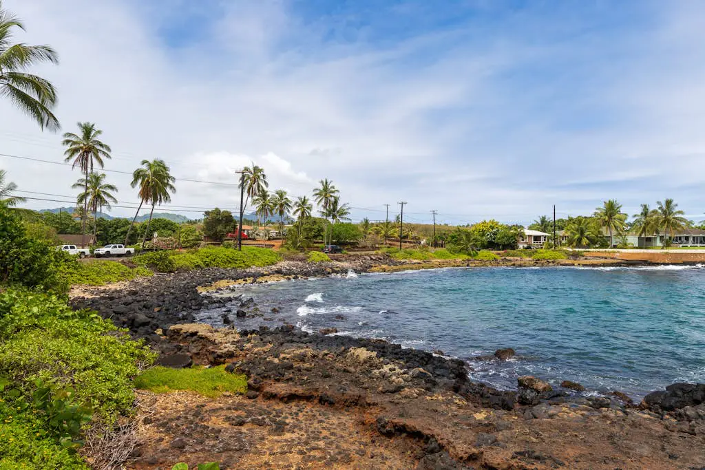 Kuhio Shores 201