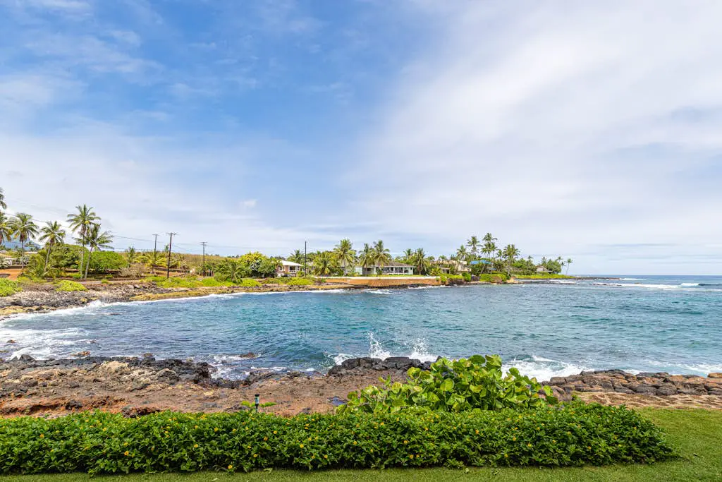 Kuhio Shores 201