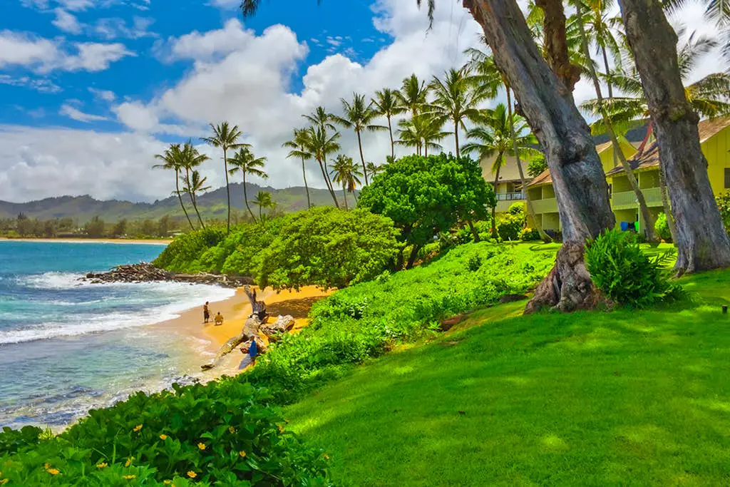 Kapa'a Sands 18