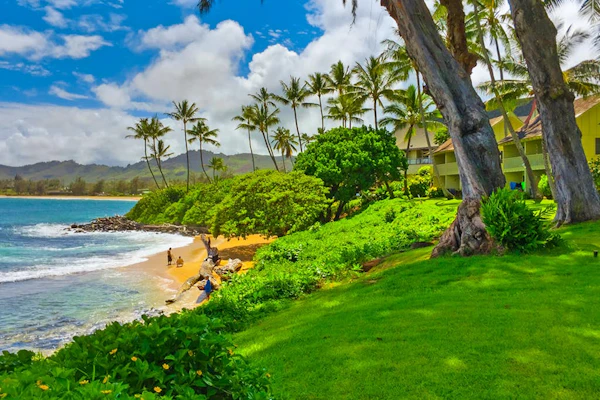 Studio in beachfront property with lanai, outdoor pool & BBQ area