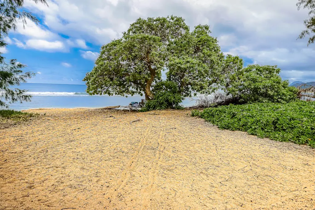 Islander on the Beach 211
