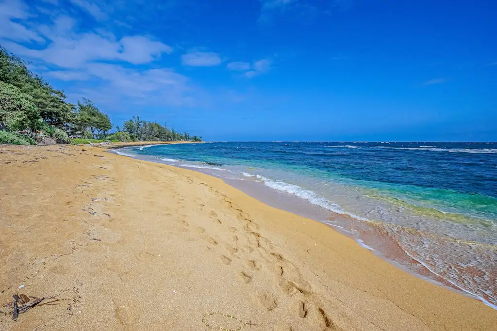 Islander on the Beach 211