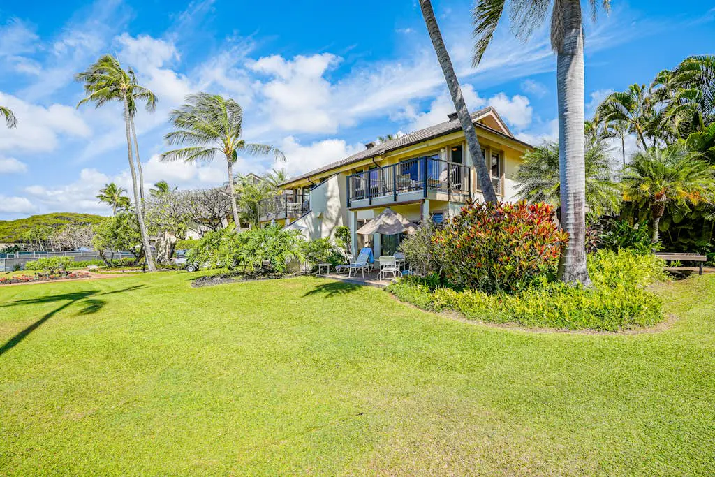 Kahala #322