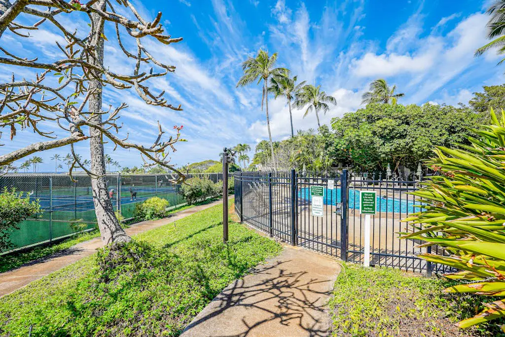 Kahala #322