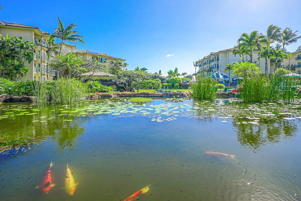 Waipouli Beach Resort H105