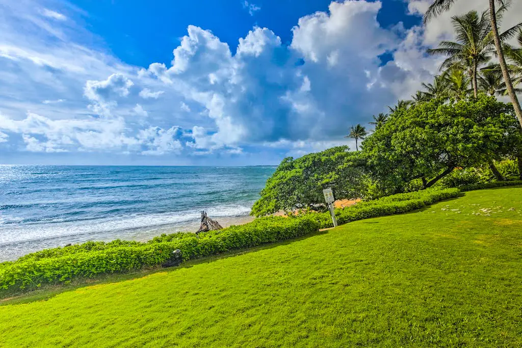 Kapa'a Sands 11