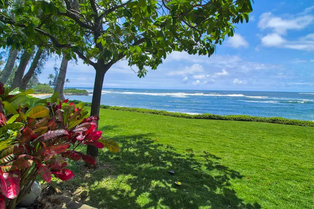 Kapa'a Sands 11