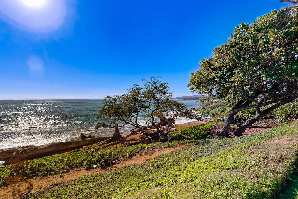 Kapa'a Sands 04