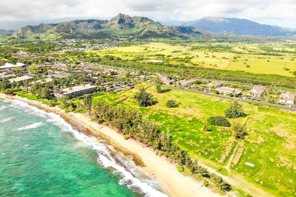 Salt & Palms at Plantation Hale E3