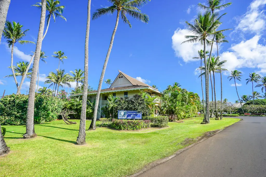 Salt & Palms at Plantation Hale E3