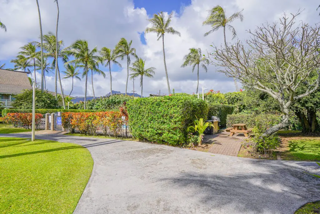 Salt & Palms at Plantation Hale E3