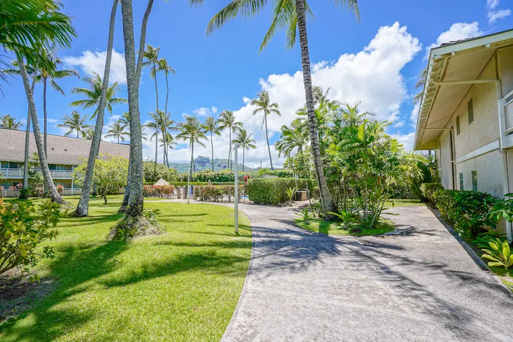 Salt & Palms at Plantation Hale E3