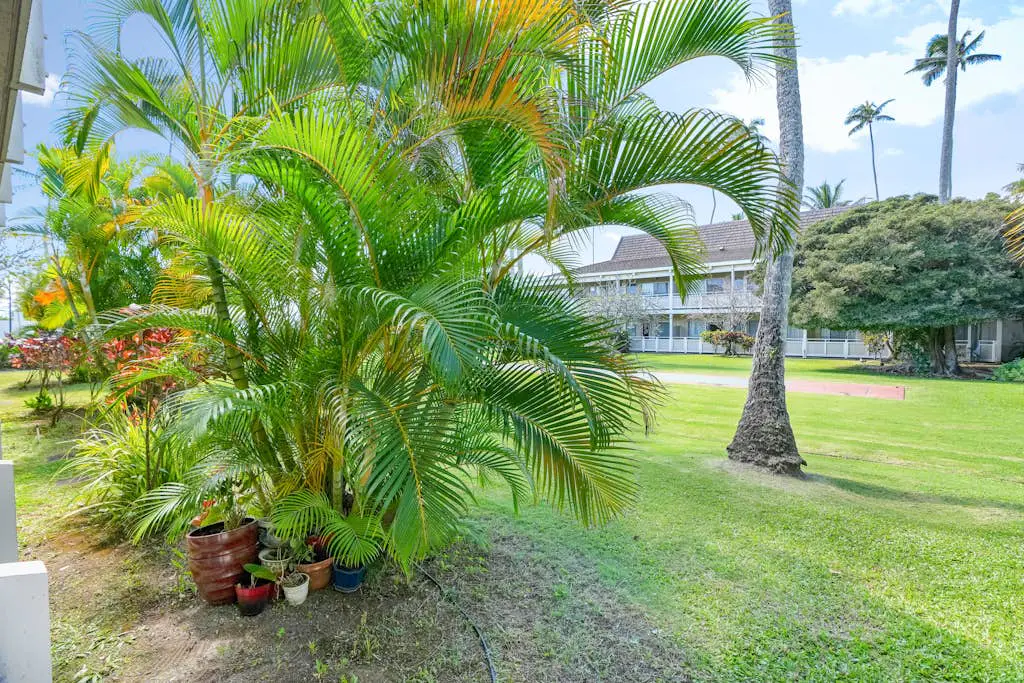 Salt & Palms at Plantation Hale E3
